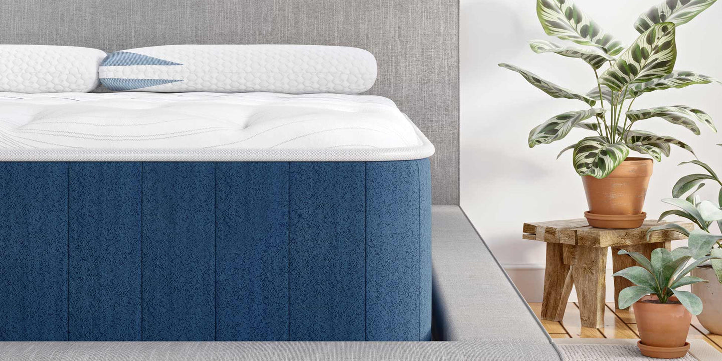 Image of Bear Elite 14" Hybrid Mattress