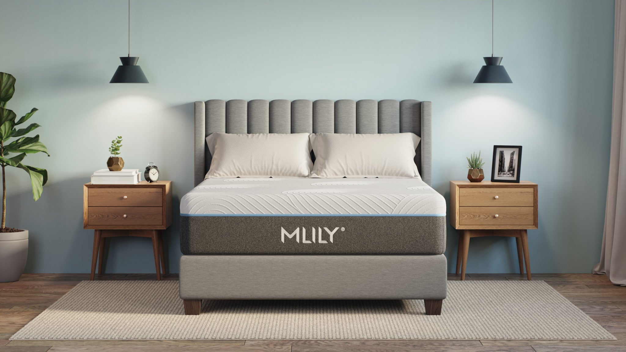 Image of Mlily Fusion Luxe - Open box