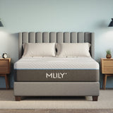 Image of Mlily Fusion Luxe - Open box