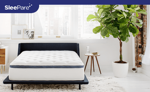 Image of Winkbed 13.5" Hybrid Mattress
