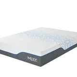 Mlily ChiroPro