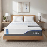 Mlily ChiroPro